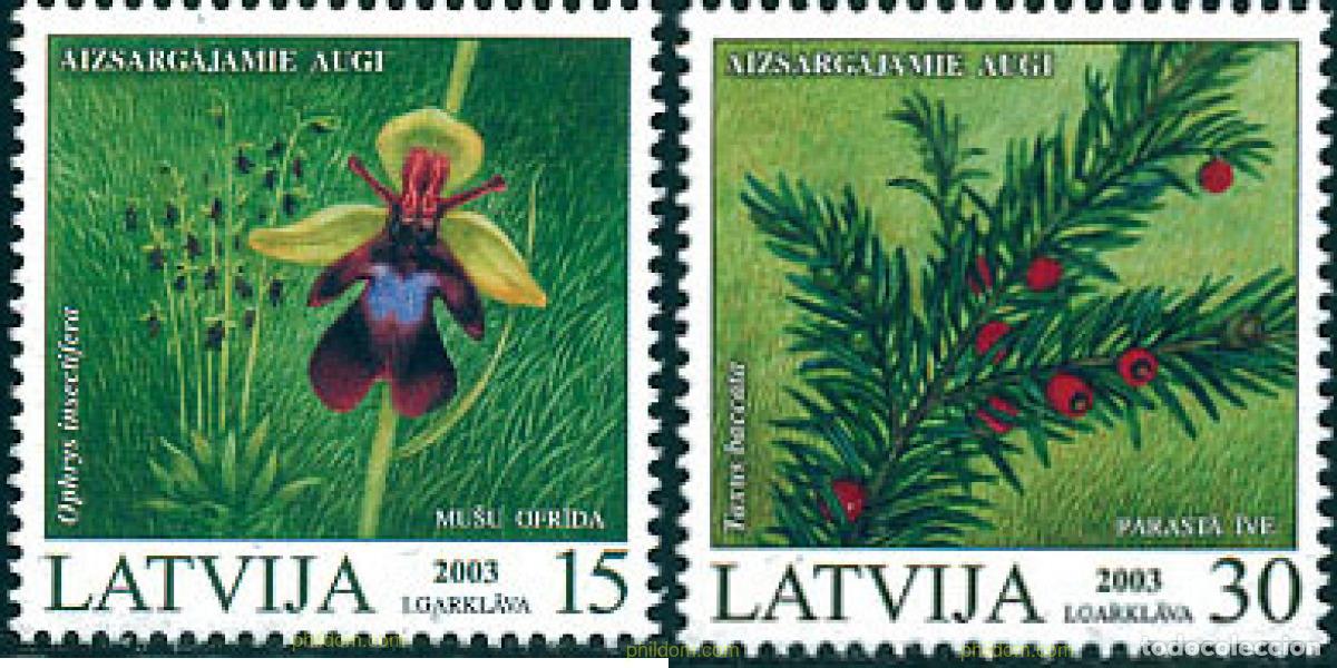 Sellos: 123333 MNH LETONIA 2003 FLORA