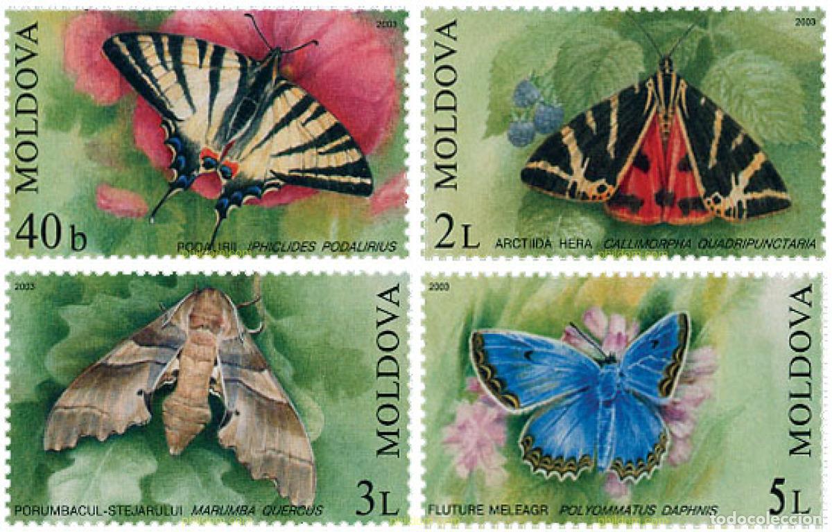 Sellos: 123572 MNH MOLDAVIA 2003 MARIPOSAS