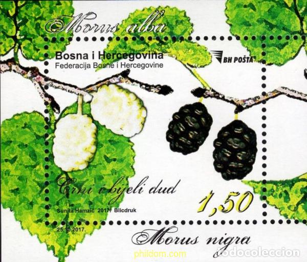 Sellos: 735983 MNH BOSNIA-HERZEGOVINA 2017 FLORA