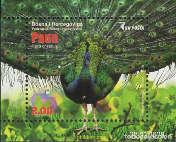 Sellos: 652009 MNH BOSNIA-HERZEGOVINA 2020 AVES. PAVO