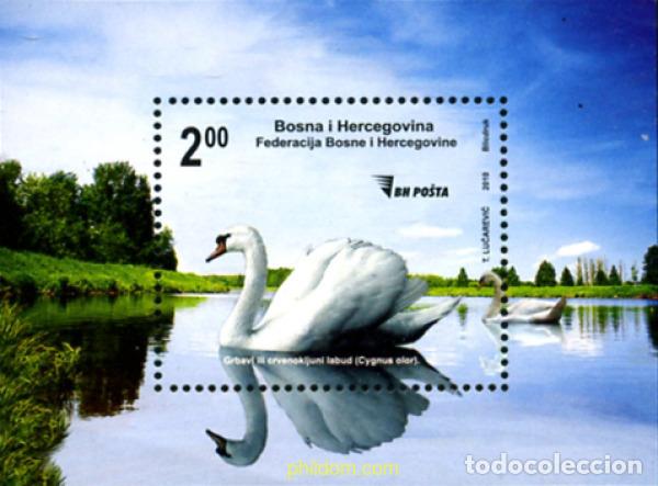 Sellos: 252571 MNH BOSNIA-HERZEGOVINA 2010 FAUNA