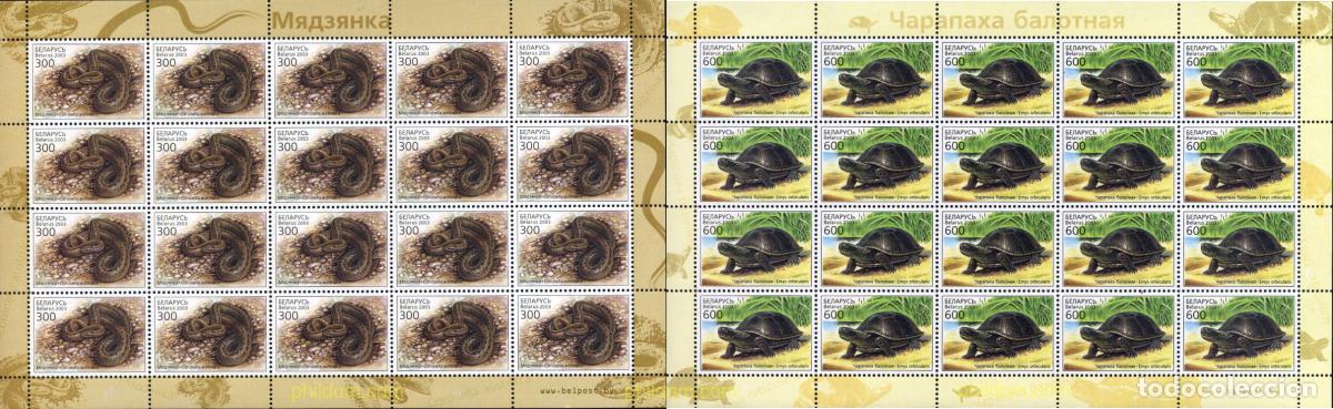 Sellos: 132084 MNH BIELORRUSIA 2003 REPTILES