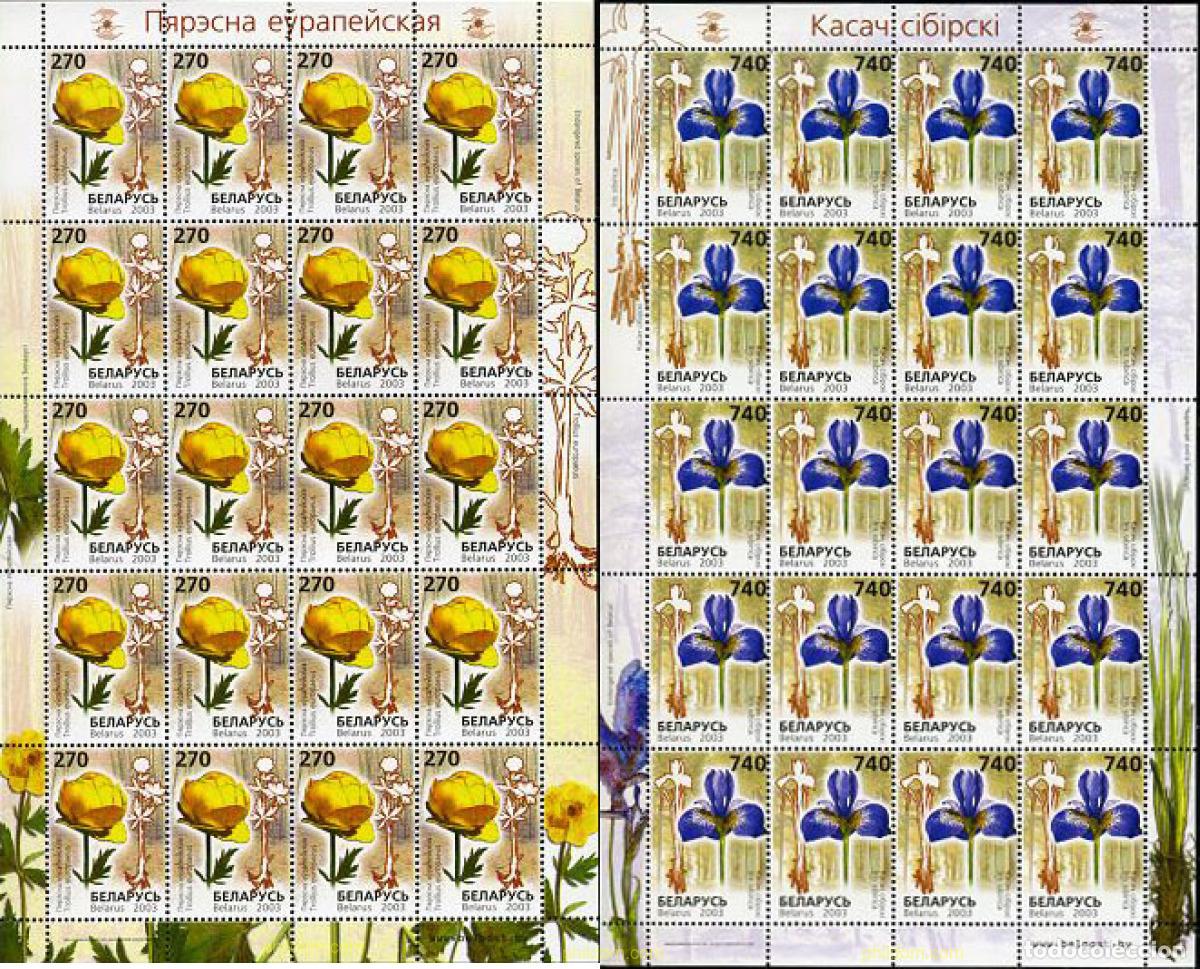 Stamps: 136248 MNH BIELORRUSIA 2003 FLORES DEL LIBRO ROJO DE BIELORUSIA