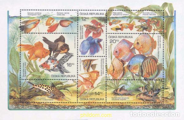 Francobolli: 136553 MNH CHEQUIA 2003 PECES DE ACUARIO
