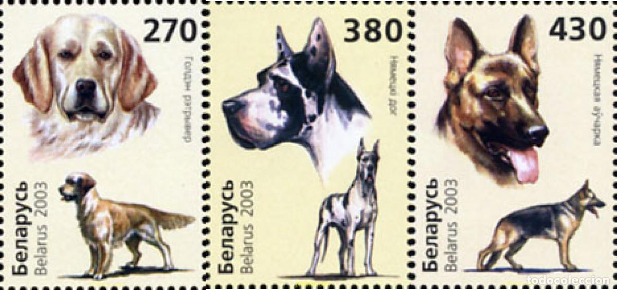Sellos: 143619 MNH BIELORRUSIA 2003 PERROS