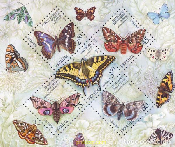 Selos: 143785 MNH UCRANIA 2004 MARIPOSAS