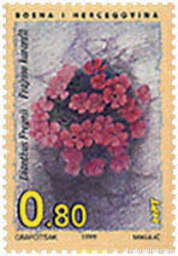 Selos: 99750 MNH BOSNIA-HERZEGOVINA. Adm Croata 1999 FLORA