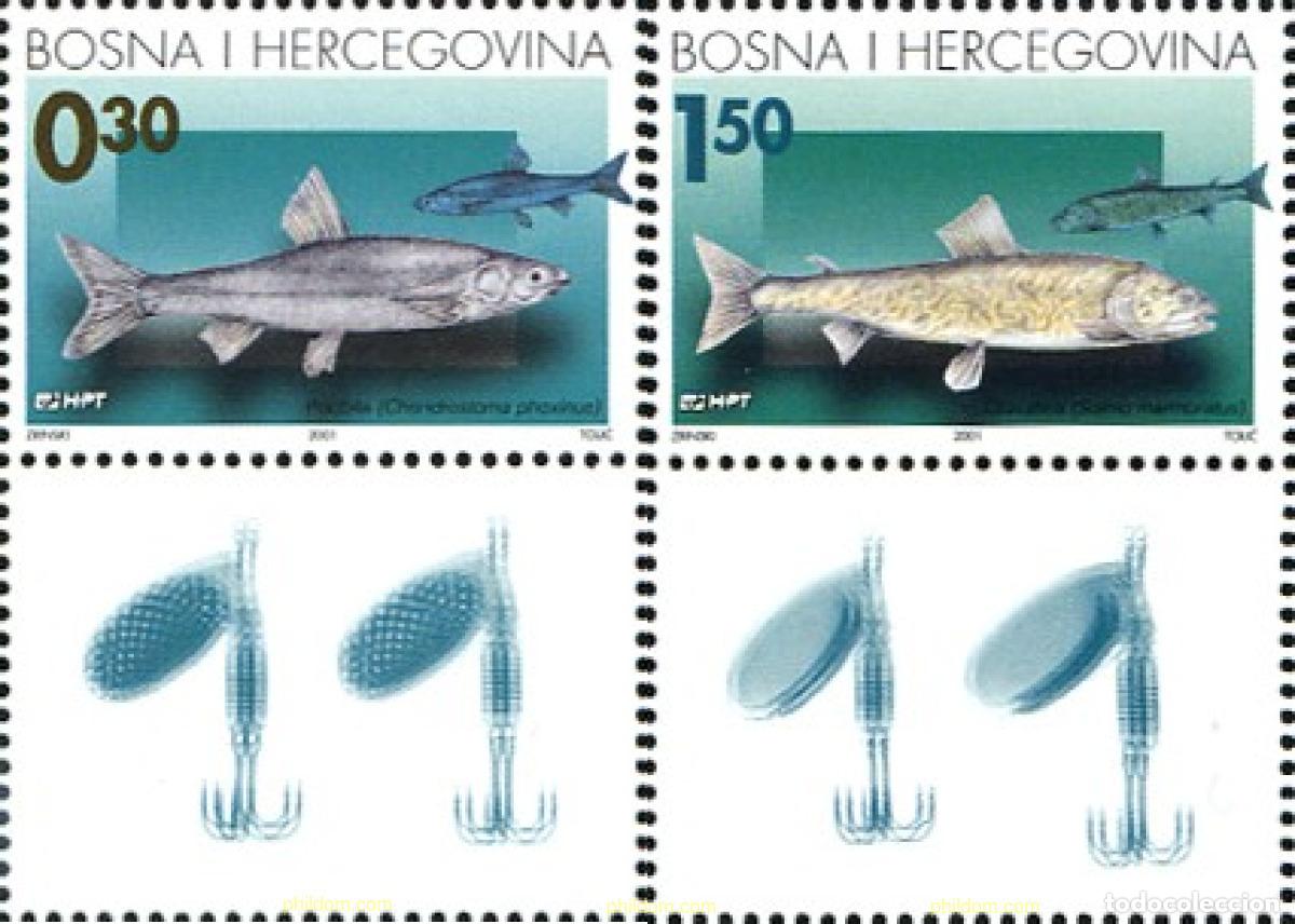 Sellos: 791487 MNH BOSNIA-HERZEGOVINA. Adm Croata 2001 PECES