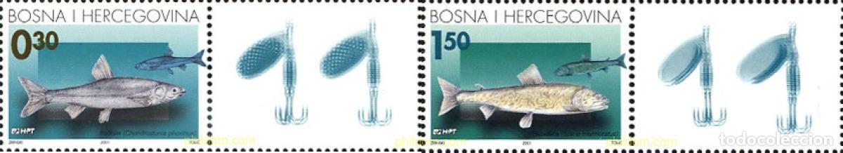 Sellos: 791486 MNH BOSNIA-HERZEGOVINA. Adm Croata 2001 PECES