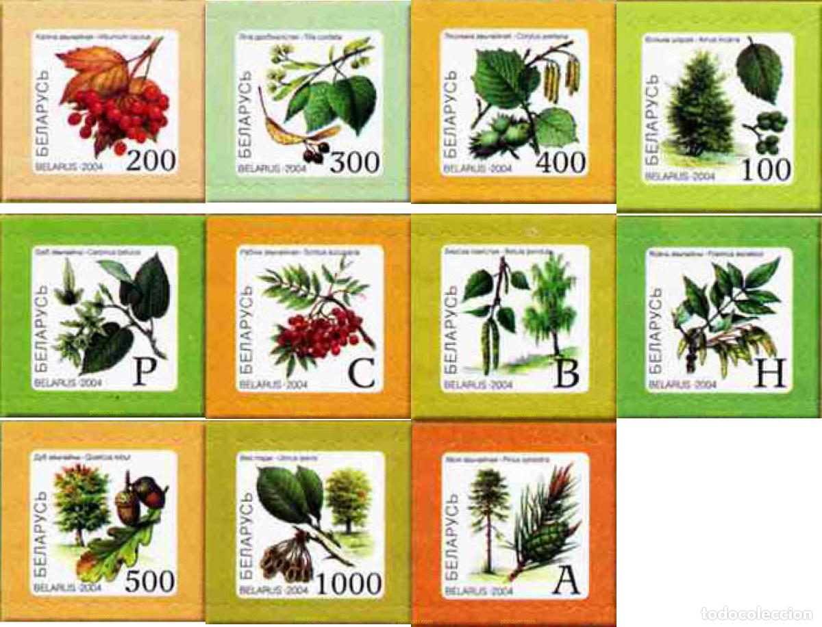 Briefmarken: 148417 MNH BIELORRUSIA 2004 FLORA