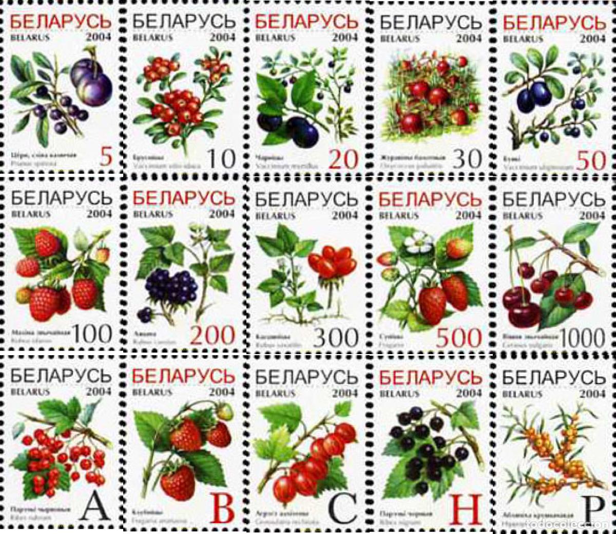 Briefmarken: 148422 MNH BIELORRUSIA 2004 FRUTOS