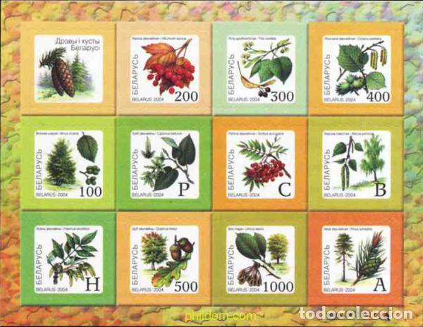 Briefmarken: 148418 MNH BIELORRUSIA 2004 FLORA