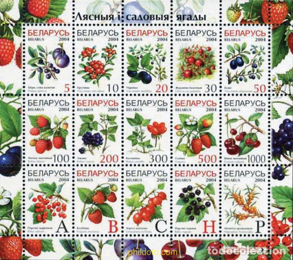 Briefmarken: 148423 MNH BIELORRUSIA 2004 FRUTOS