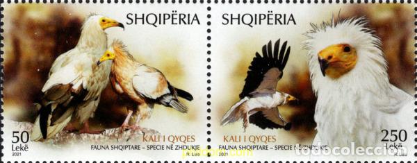 Sellos: 698185 MNH ALBANIA 2021