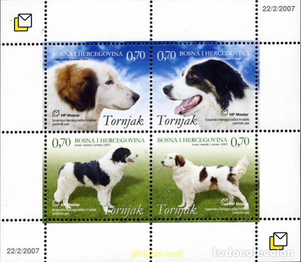 Sellos: 212564 MNH BOSNIA-HERZEGOVINA. Adm Croata 2007 PERROS