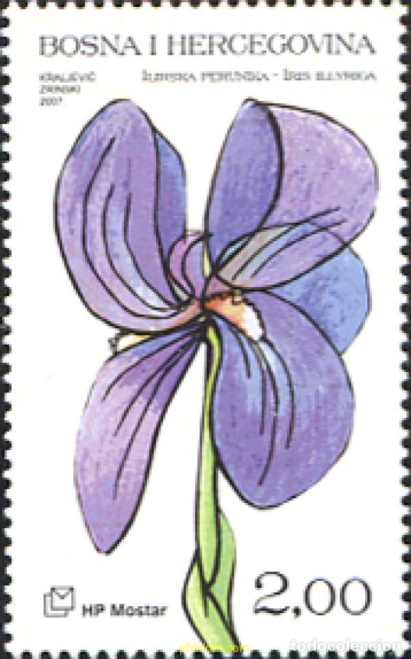 Sellos: 226008 MNH BOSNIA-HERZEGOVINA. Adm Croata 2007 FLOR