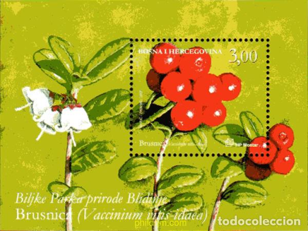 Sellos: 226009 MNH BOSNIA-HERZEGOVINA. Adm Croata 2007 PLANTAS DEL PARQUE NATURAL DE BLIDINJE