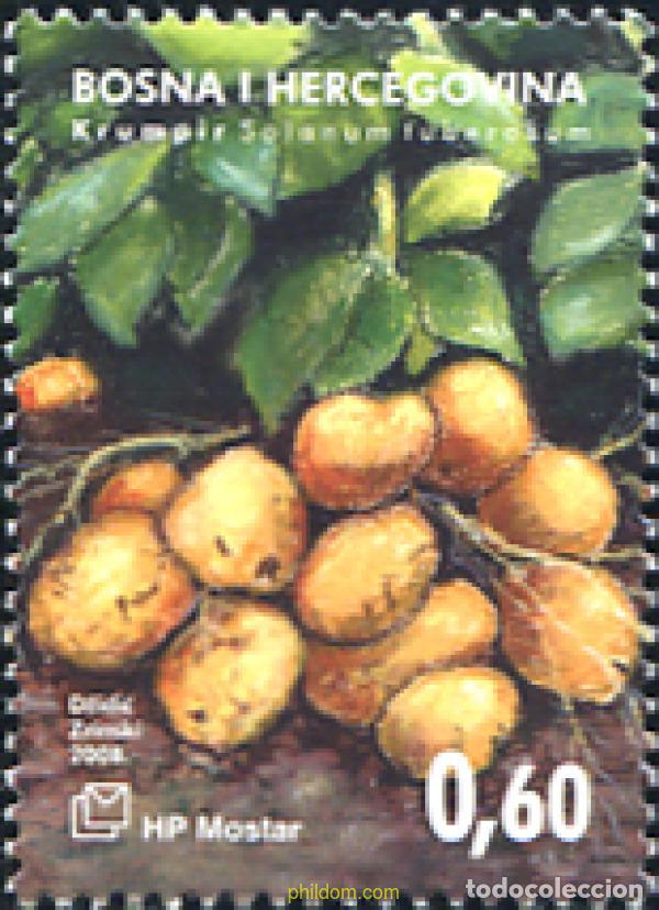 Sellos: 297997 MNH BOSNIA-HERZEGOVINA. Adm Croata 2008 LA PATATA