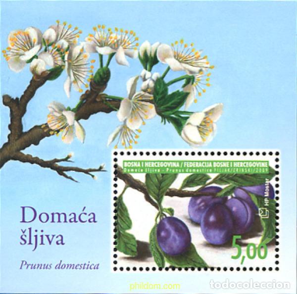 Sellos: 298024 MNH BOSNIA-HERZEGOVINA. Adm Croata 2009 FRUTOS