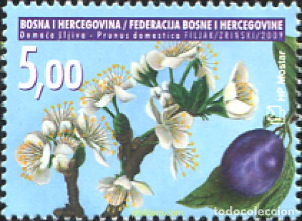 Sellos: 298023 MNH BOSNIA-HERZEGOVINA. Adm Croata 2009 FRUTOS