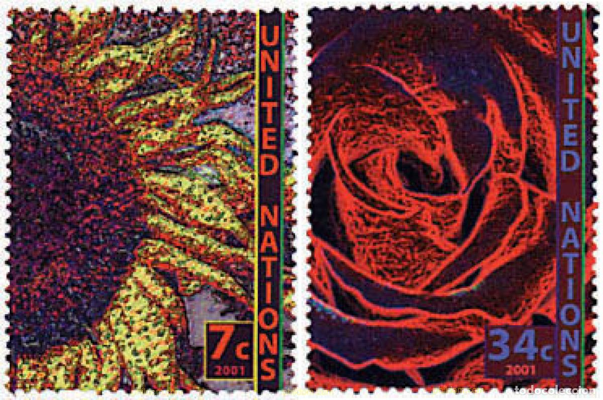 Sellos: 94454 MNH NACIONES UNIDAS. Nueva York 2001 MOTIVOS VARIOS