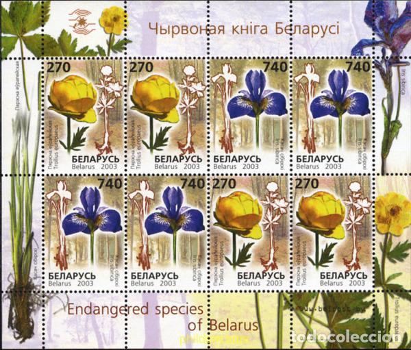 Sellos: 143616 MNH BIELORRUSIA 2003 FLORES DEL LIBRO ROJO DE BIELORUSIA