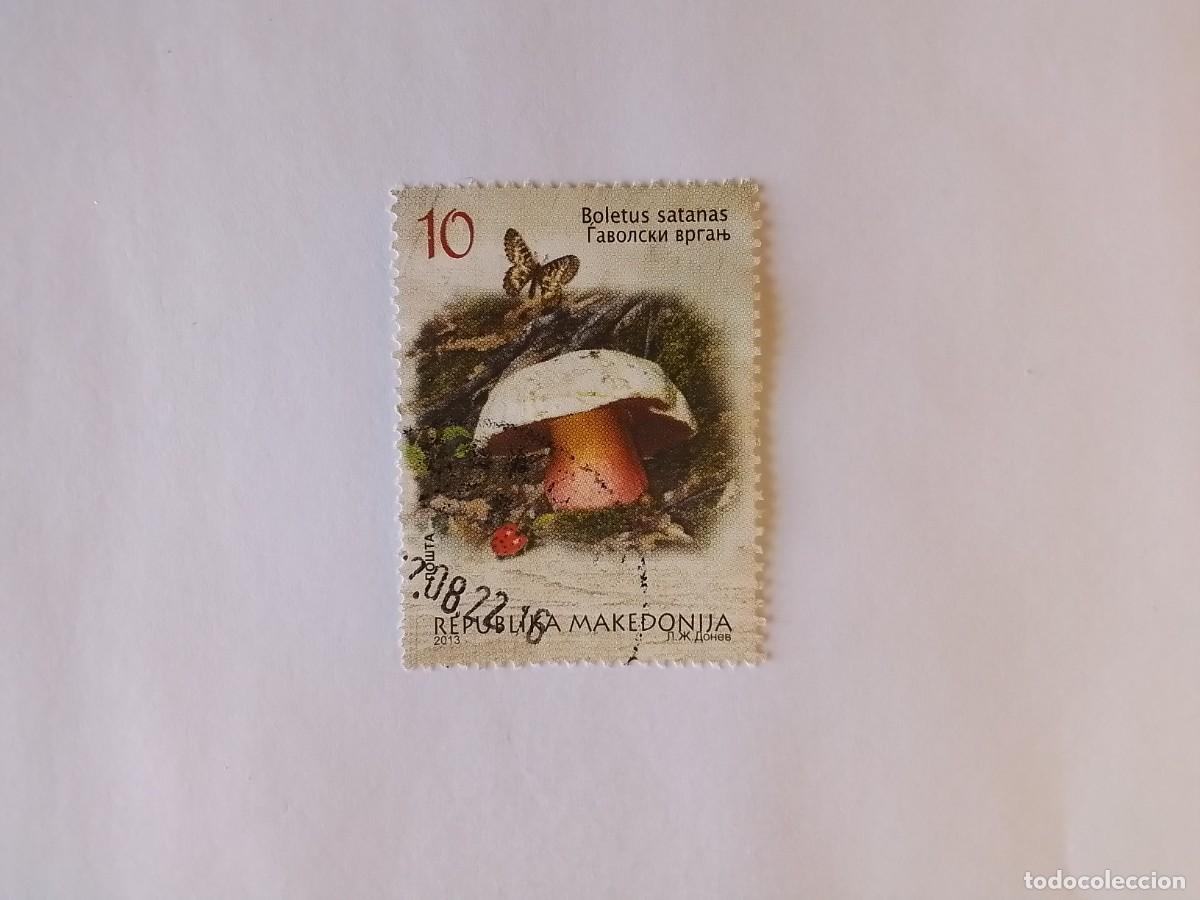 Sellos: A&Ntilde;O 2013 MACEDONIA SELLO USADO