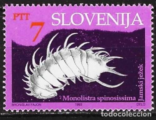 Sellos: Eslovenia 1993 - Mi 60 - YT 58 - Fauna cavern&iacute;cola - MNG