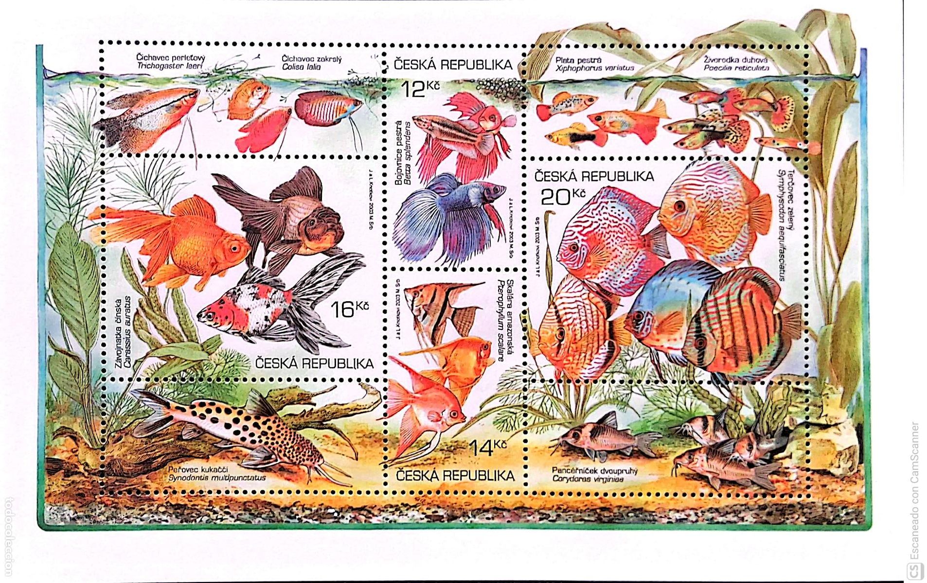 Sellos: Rep. Checa. HB Peces de acuario. 2003. Sellos nuevos y numeraci&oacute;n Yvert.