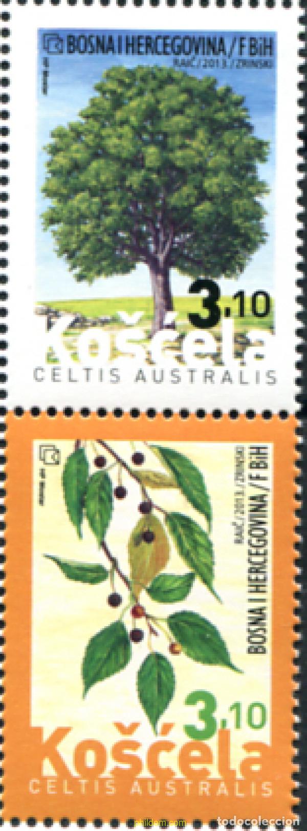 Sellos: 313770 MNH BOSNIA-HERZEGOVINA. Adm Croata 2013 FLORA