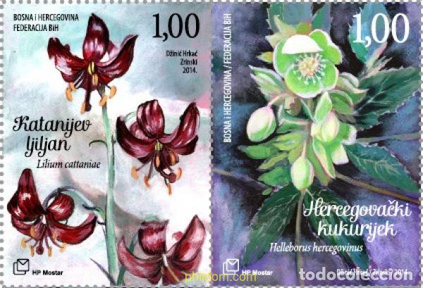 Sellos: 793857 MNH BOSNIA-HERZEGOVINA. Adm Croata 2014 FLORA