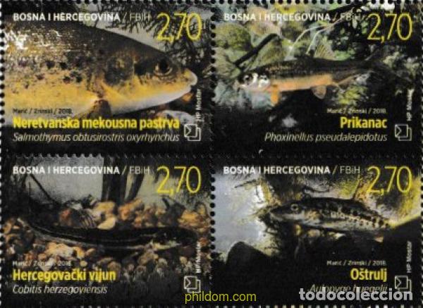 Sellos: 793949 MNH BOSNIA-HERZEGOVINA. Adm Croata 2018 FAUNA-PECES DE AGUA DULCE