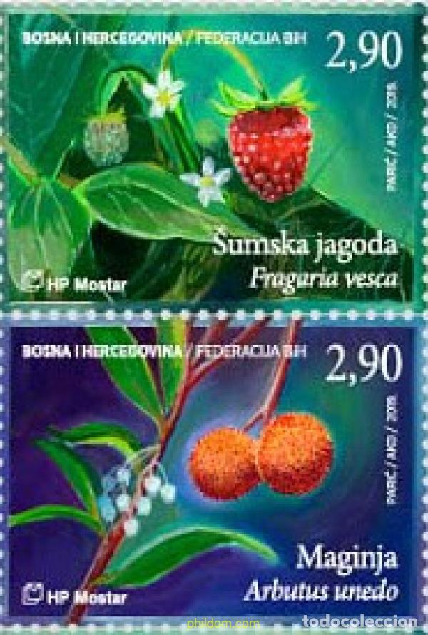 Sellos: 793950 MNH BOSNIA-HERZEGOVINA. Adm Croata 2019 FLORA