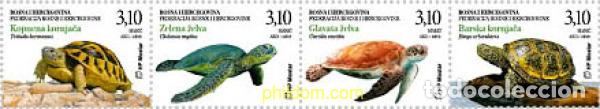 Sellos: 619991 MNH BOSNIA-HERZEGOVINA. Adm Croata 2019 TORTUGAS