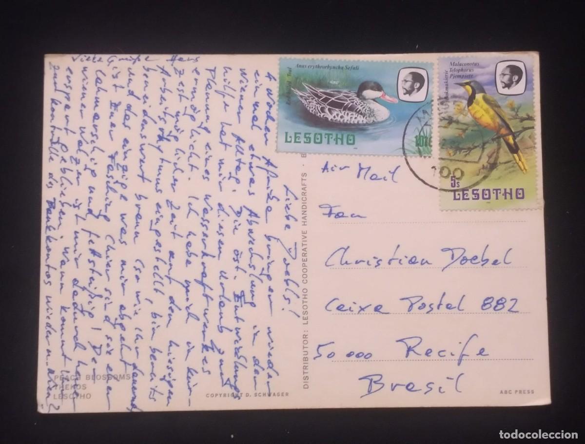 Sellos: TS) CIRCA 1980 LESOTHO, POSTCARD,COVER SENT FROM MASERU TO RECIFE, BRAZIL, WITH AFRICAN PASSERINE BI