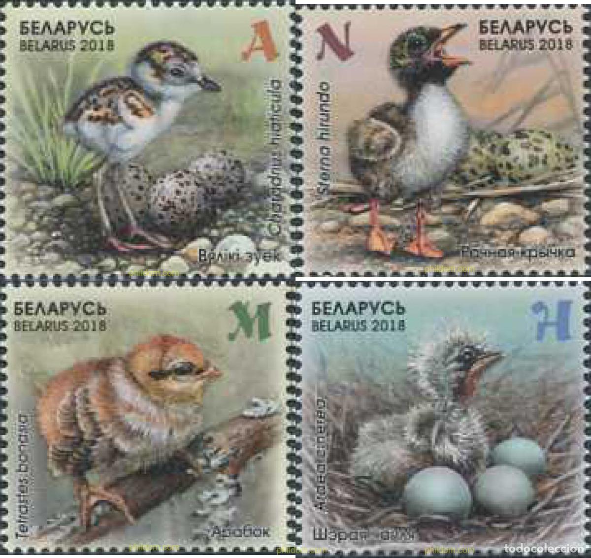 Sellos: 588050 MNH BIELORRUSIA 2018 AVES. POLLUELOS