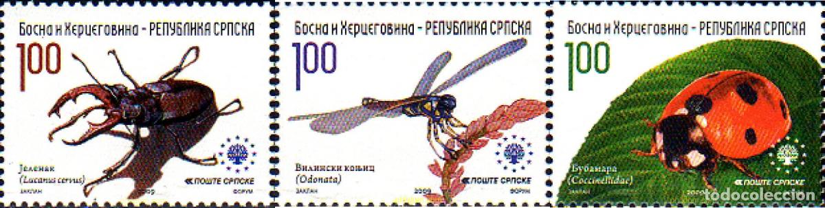 Sellos: 233648 MNH BOSNIA-HERZEGOVINA. Adm Serbia 2009 INSECTOS