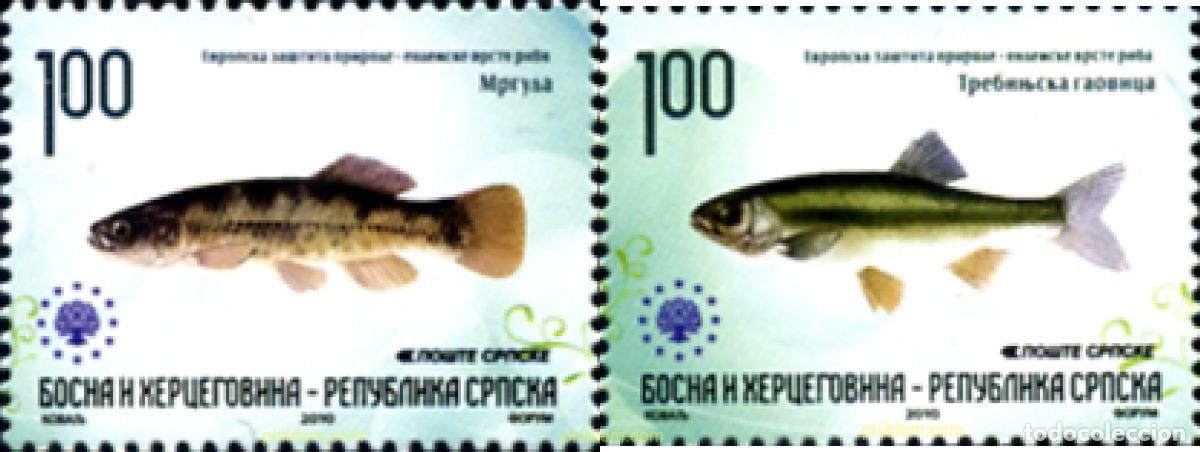 Sellos: 255167 MNH BOSNIA-HERZEGOVINA. Adm Serbia 2010 PROTECCION EUROPEA DE LA NATURALEZA