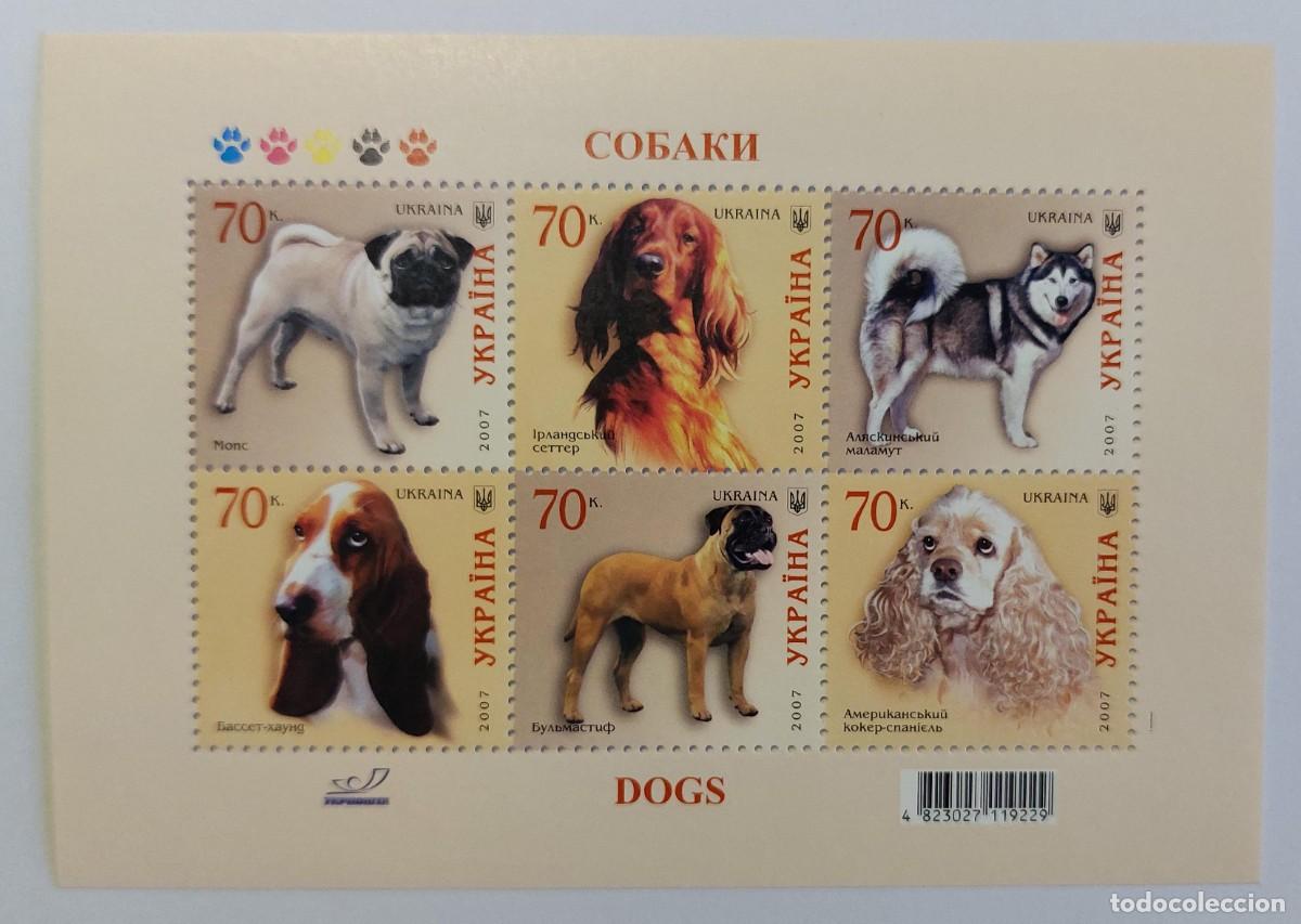 Sellos: UCRANIA 2007 diversas razas de perros. Fauna, animales dom&eacute;sticos ** MNH