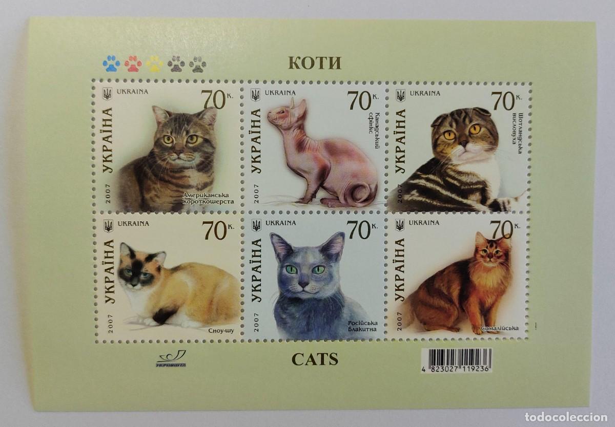Sellos: UCRANIA 2007 diversas razas de gatos. Fauna, animales dom&eacute;sticos ** MNH