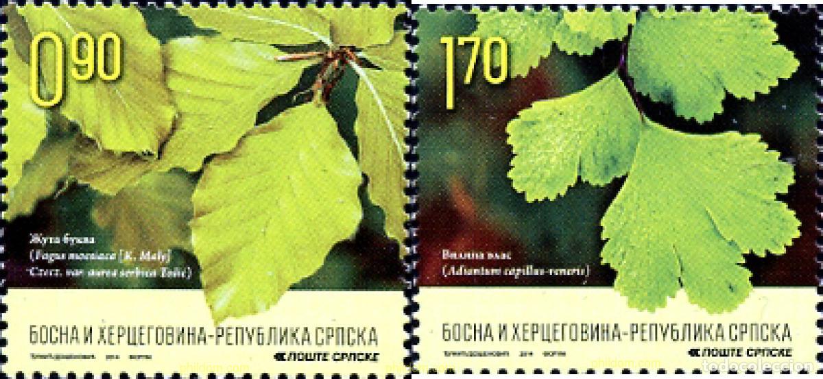 Selos: 317597 MNH BOSNIA-HERZEGOVINA. Adm Serbia 2014 FLORA