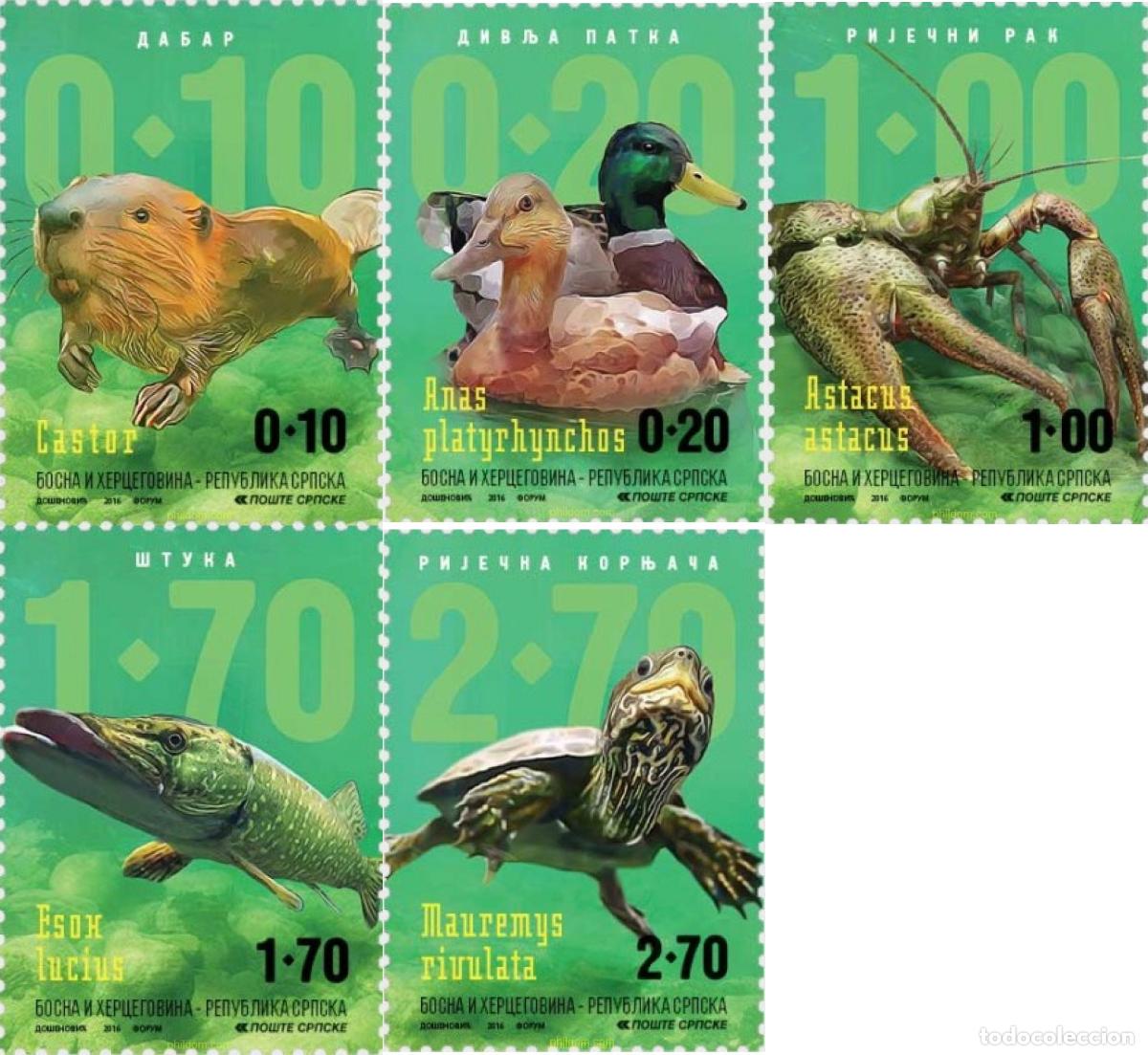 Sellos: 736472 MNH BOSNIA-HERZEGOVINA. Adm Serbia 2016 FAUNA DE R&iacute;O.