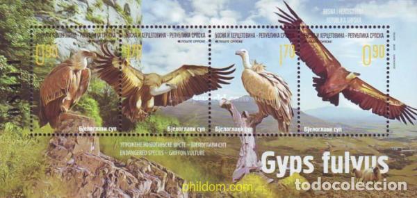 Sellos: 736469 MNH BOSNIA-HERZEGOVINA. Adm Serbia 2016 ESPECIES EN PELIGRO DE EXTINCI&oacute;N. EL BUITRE LEONADO