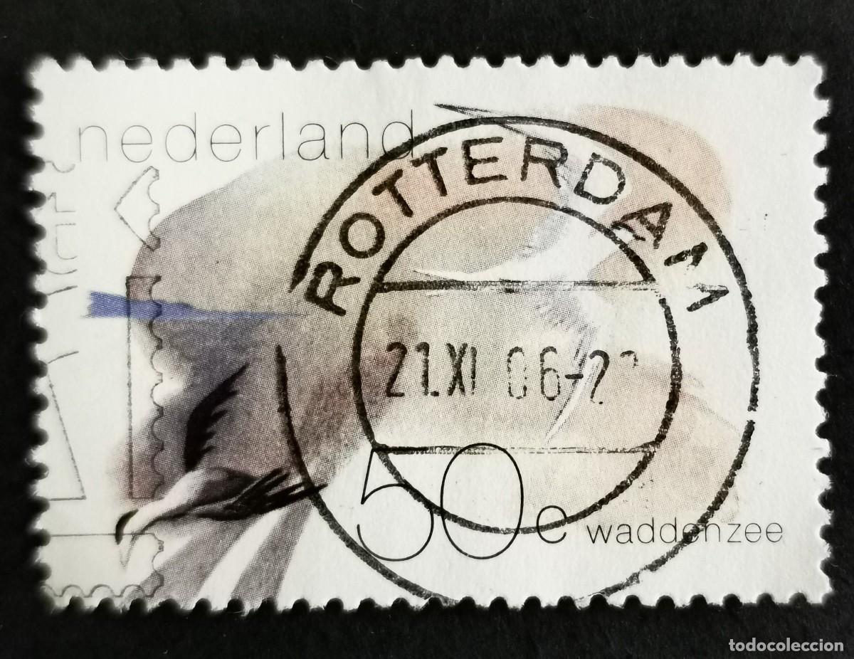 Sellos: Sello Pa&iacute;ses Bajos 1982, Charr&aacute;n piquigualdo y eider com&uacute;n, 50 c. Michel: NL 1209