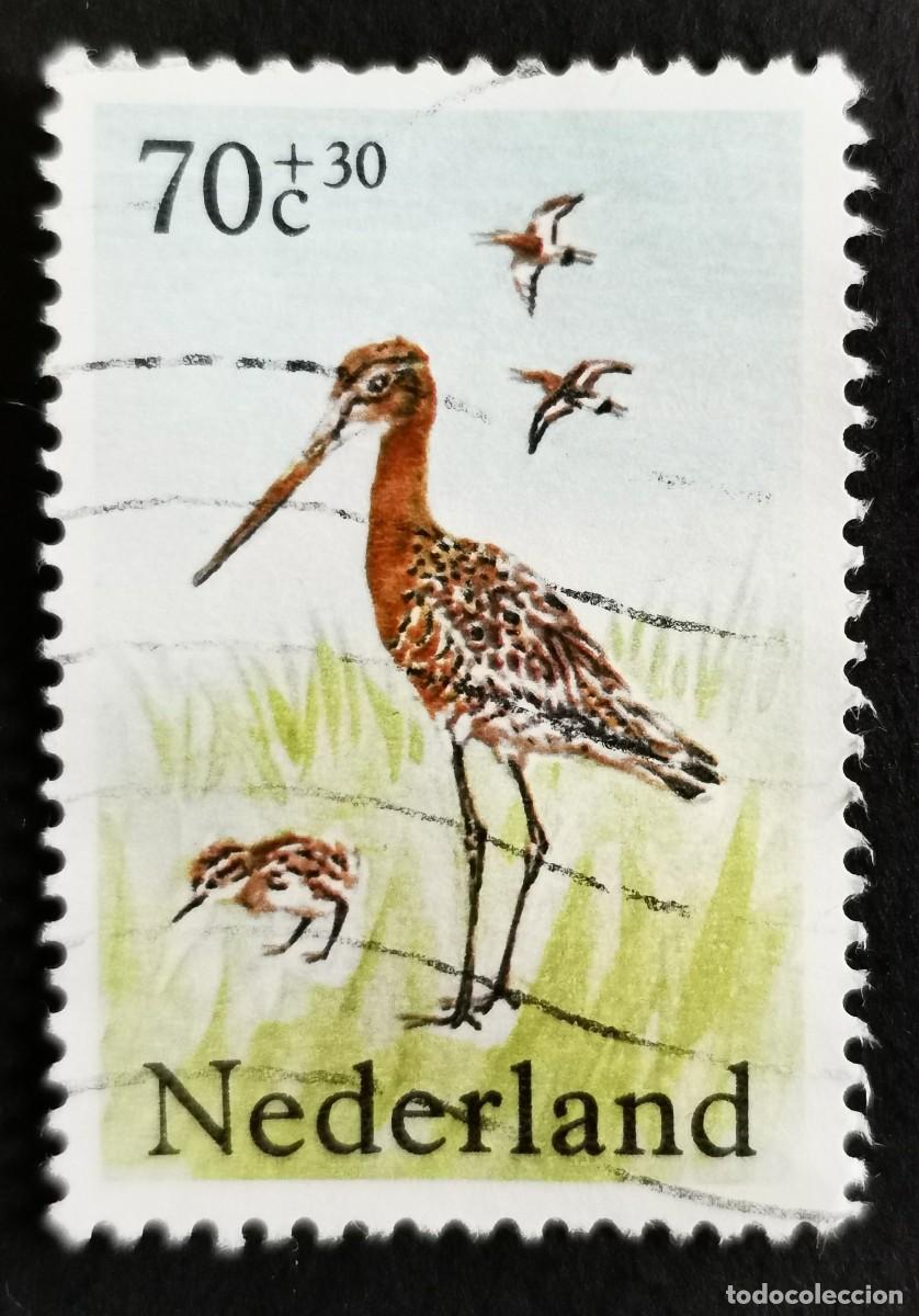 Sellos: Sello Pa&iacute;ses Bajos 1984, Agachadiza de cola negra (Limosa limosa), 70+30 c. Michel: NL 1249A