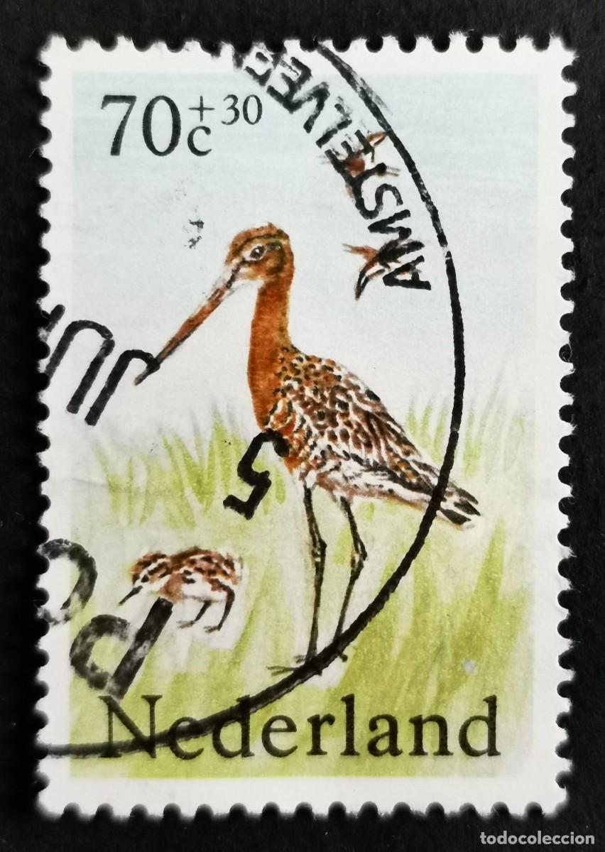 Sellos: Sello Pa&iacute;ses Bajos 1984, Agachadiza de cola negra (Limosa limosa), 70+30 c. Michel: NL 1249A