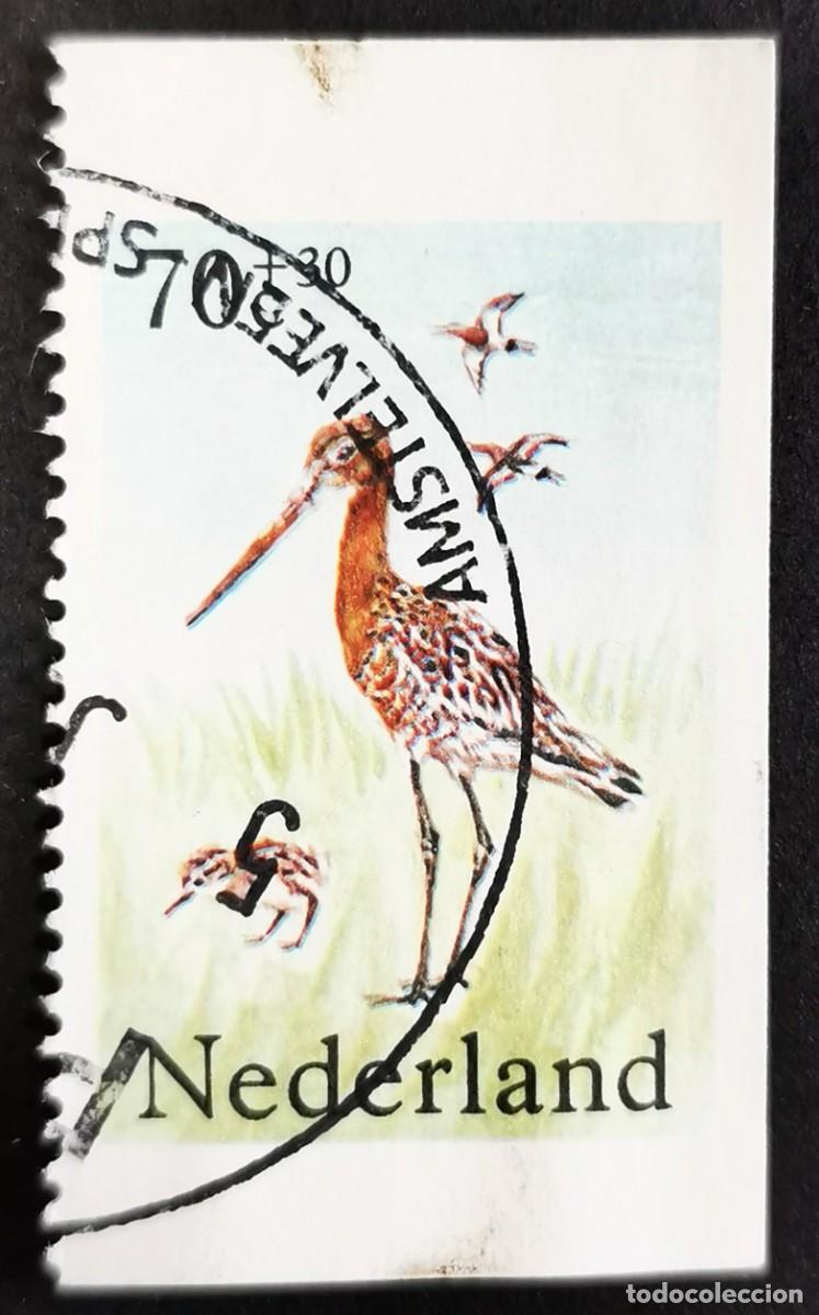 Sellos: Sello Pa&iacute;ses Bajos 1984, Agachadiza cola negra (Limosa limosa)- folleto, 70+30 c. Michel: NL 1249D