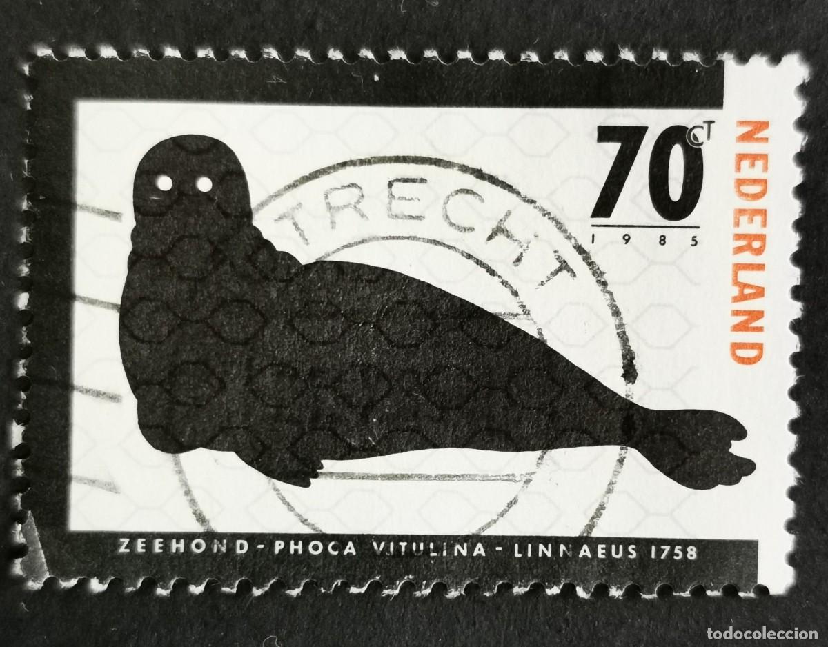 Sellos: Sello Pa&iacute;ses Bajos 1985, Foca com&uacute;n (Phoca vitulina), 70 c. Michel: NL 1280