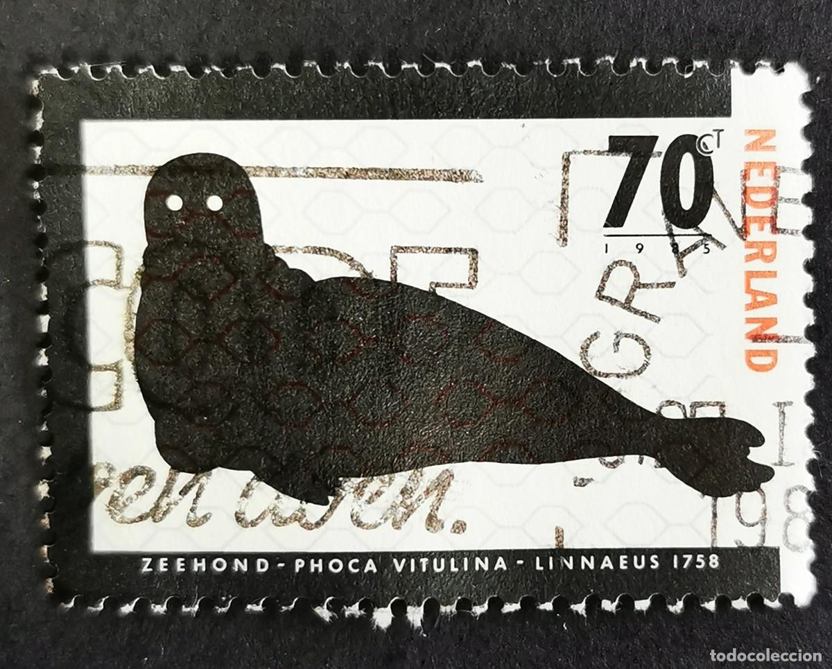 Sellos: Sello Pa&iacute;ses Bajos 1985, Foca com&uacute;n (Phoca vitulina), 70 c. Michel: NL 1280