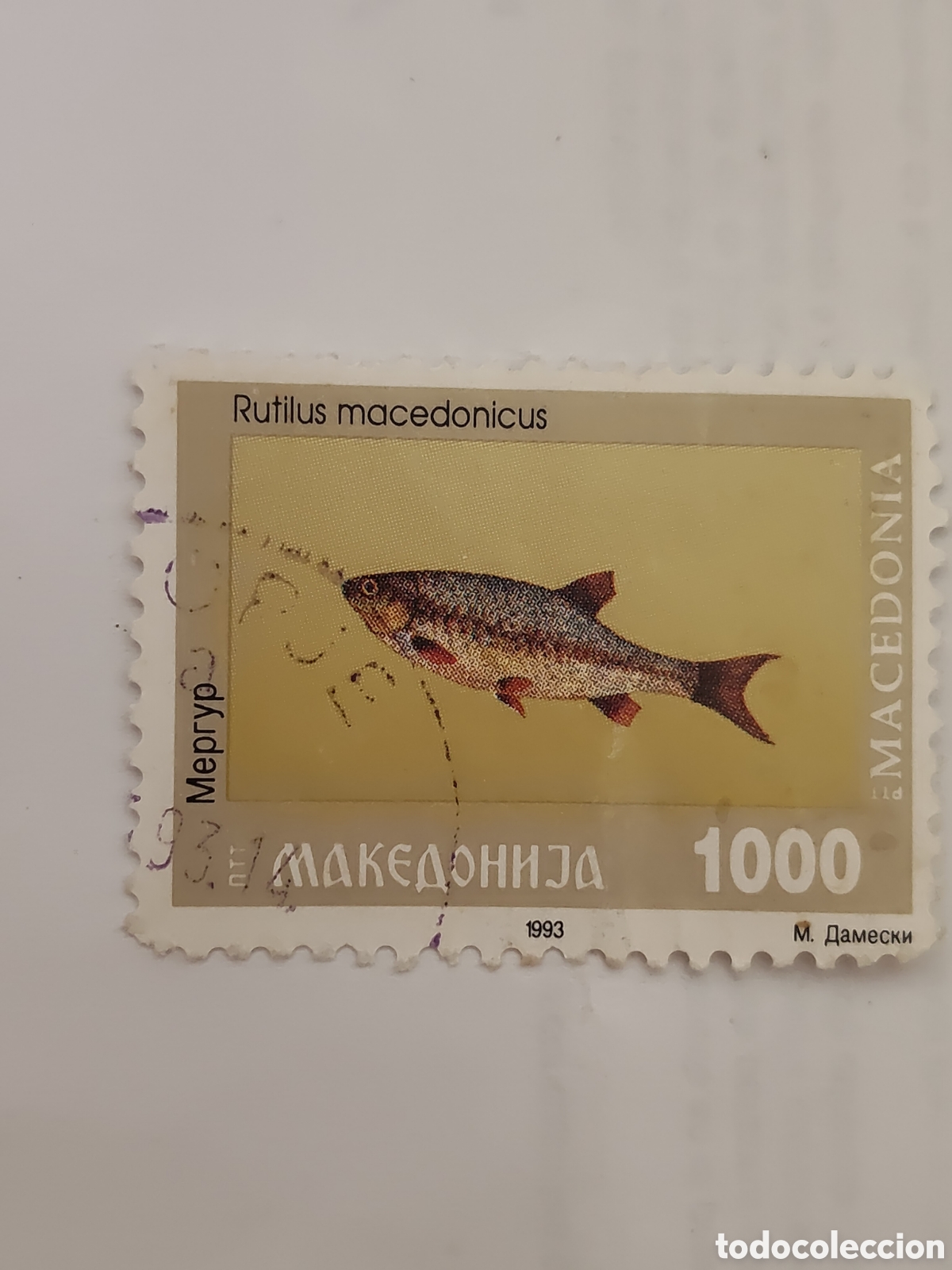 Timbres: Sello de Macedonia Fauna marina 1993